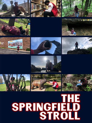The Springfield Stroll 3