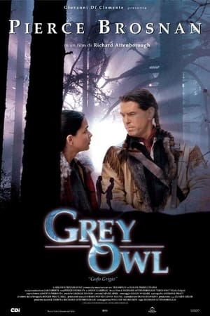 Poster Grey Owl - Gufo grigio 1999