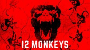 Images posters