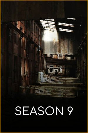 Saison 9