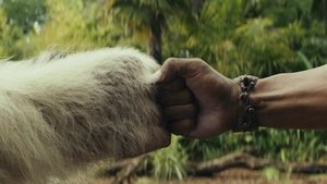 Rampage