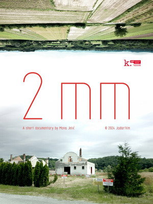 2mm