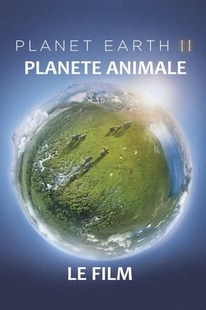 Poster Planète animale 2 : Survivre (2017)