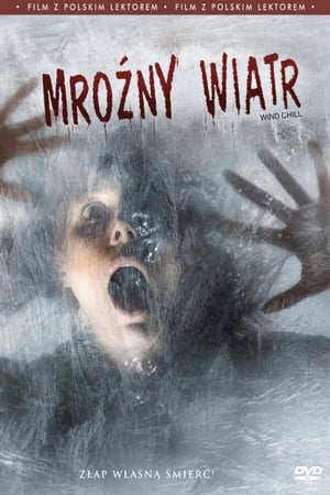 Poster Mroźny wiatr 2007