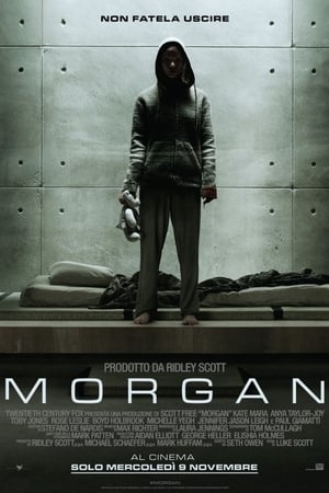 Image Morgan