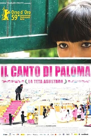 Image Il canto di Paloma