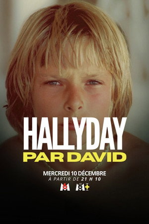 Hallyday par David 4