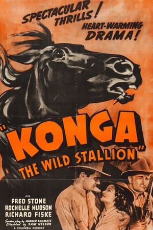 Konga, the Wild Stallion