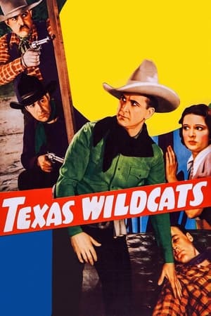 Poster Texas Wildcats (1939)