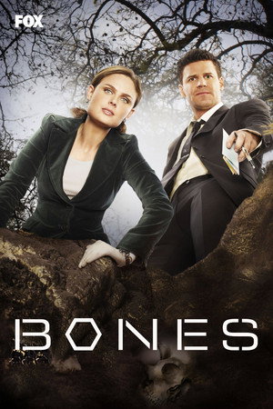 poster Bones