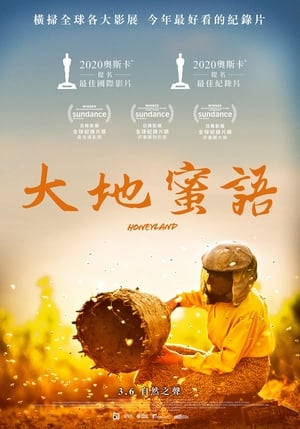 Poster 蜂蜜之地 2019