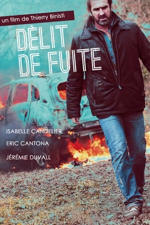 Poster Délit de fuite 2013