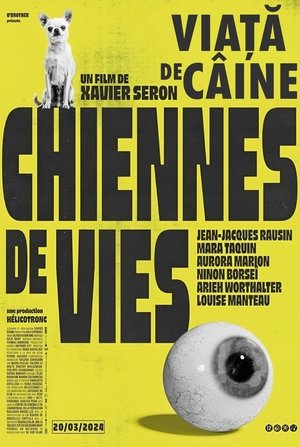 Image Chiennes de vies