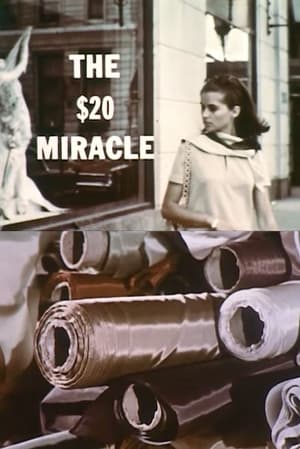 Poster The Twenty Dollar Miracle (1967)