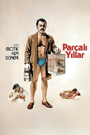 Affiche de Parçalı Yıllar