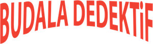 Budala Dedektif