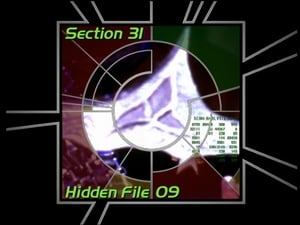 Image Section 31: Hidden File 09 (S04)