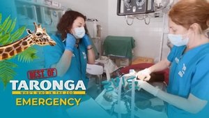 Emergency