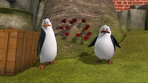 The Penguins of Madagascar Huffin and Puffin