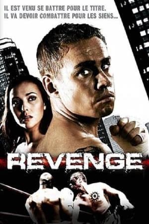 Poster Revenge 2005