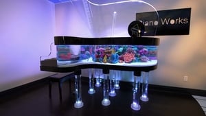 Image The Amazing Piano Tank