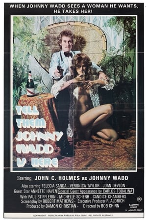 Poster Tell Them Johnny Wadd Is Here 1976