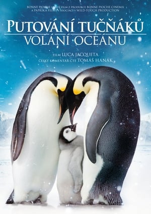 Image Putování tučňáků: Volání oceánu