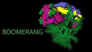 Boomerang