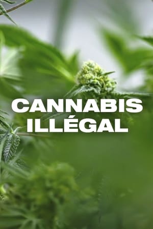 Poster Cannabis illégal (2019)