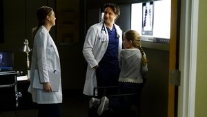 Grey’s Anatomy 13 x Episodio 23