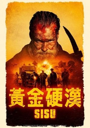 poster Sisu
