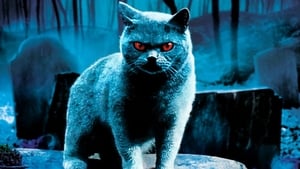 Pet Sematary