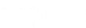 Desafio em Dose Dupla — Logos 1