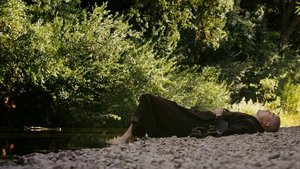 Walk with Me (2017)