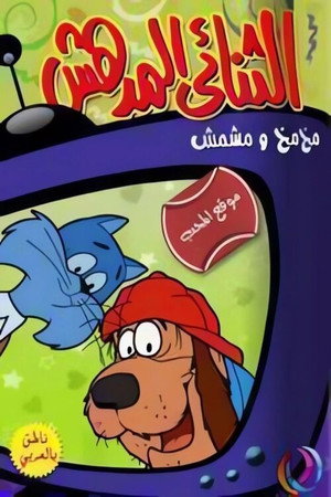 الثنائي المدهش