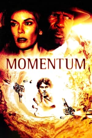 Poster Momentum 2003