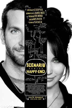 Scenariu pentru happy-end (2012)