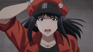 Cells at Work!: Season 1 Episode 13