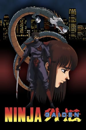 Poster Ninja Gaiden (1991)