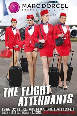 Image The Flight Attendants