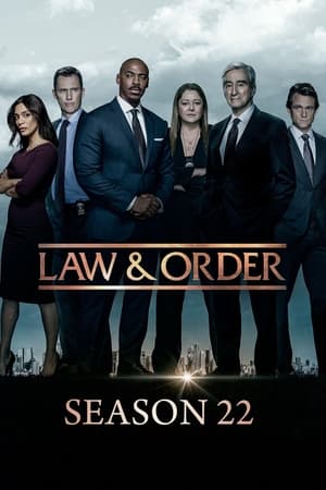 Law & Order - I due volti della giustizia: Stagione 22