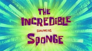 SpongeBob Schwammkopf: 10×13