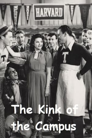 Poster The Kink of the Campus 1941