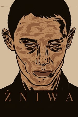 Poster Żniwa 2018