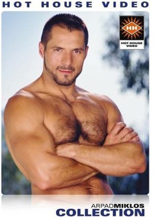 Image Arpad Miklos Collection