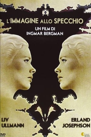 L'immagine allo specchio (1976)