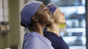 Grey’s Anatomy 11 x Episodio 14