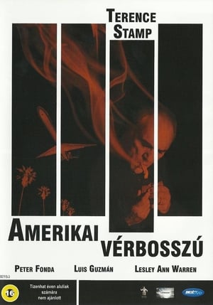 Poster Amerikai vérbosszú 1999