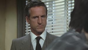 Hill Street Blues 3×21 – Buddy, Can You Spare a Heart?
