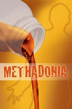 Poster di Methadonia